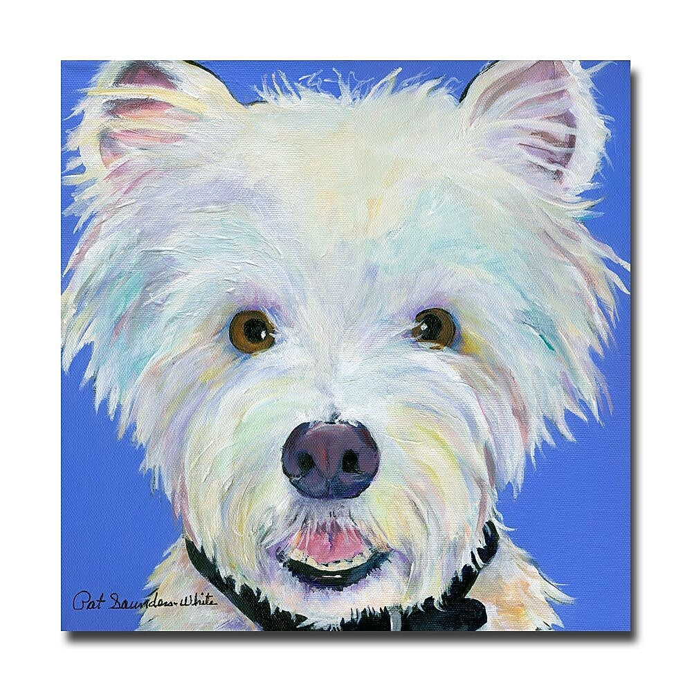 Trademark Fine Art Pat Saunders-White 'Amos' Canvas Art