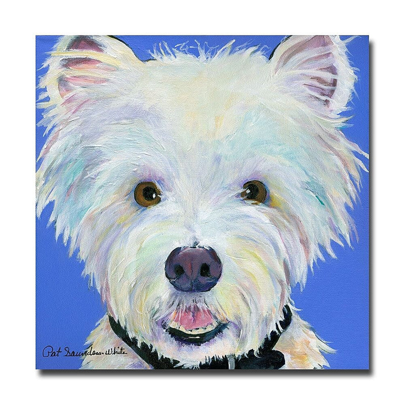 Trademark Fine Art Pat Saunders-White 'Amos' Canvas Art