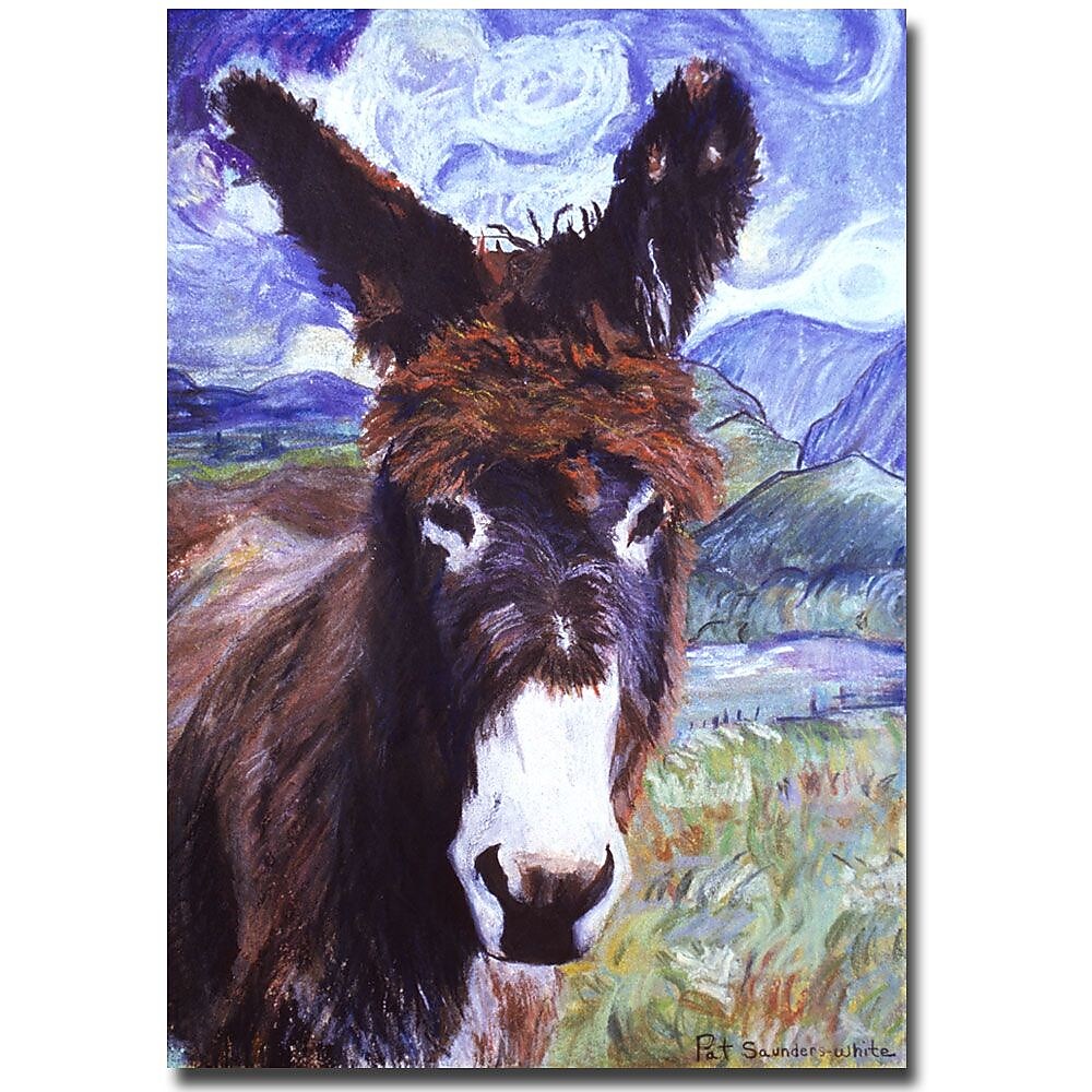 Trademark Fine Art Pat Saunders-Whtie 'Carrot Top' Canvas Art
