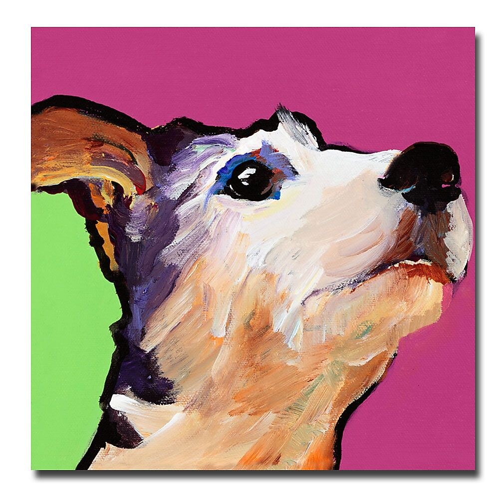 Trademark Fine Art Pat Saunders-White 'Ollie' Canvas Art