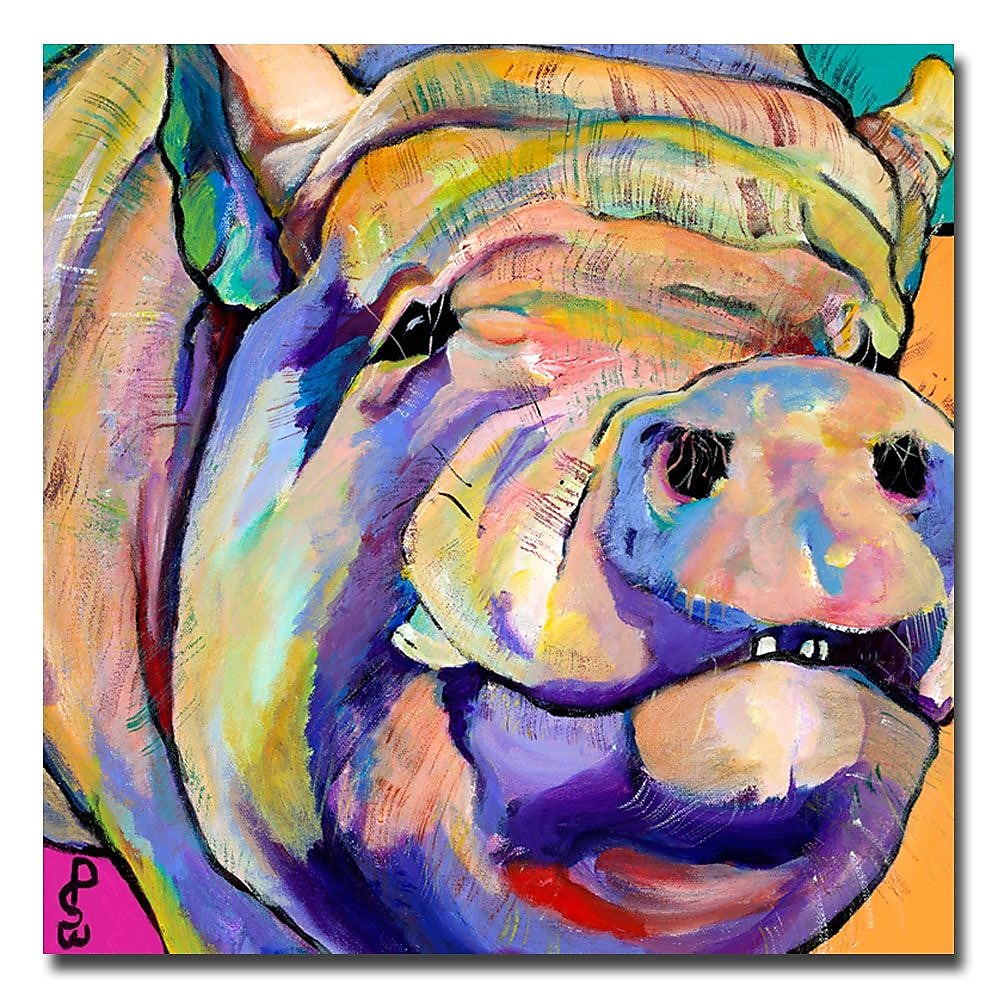 Trademark Fine Art Pat Saunders-White 'Potbelly' Canvas Art