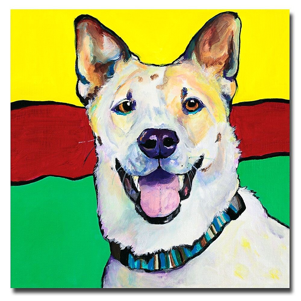 Trademark Fine Art Pat Saunders-White 'Sydney' Canvas Art