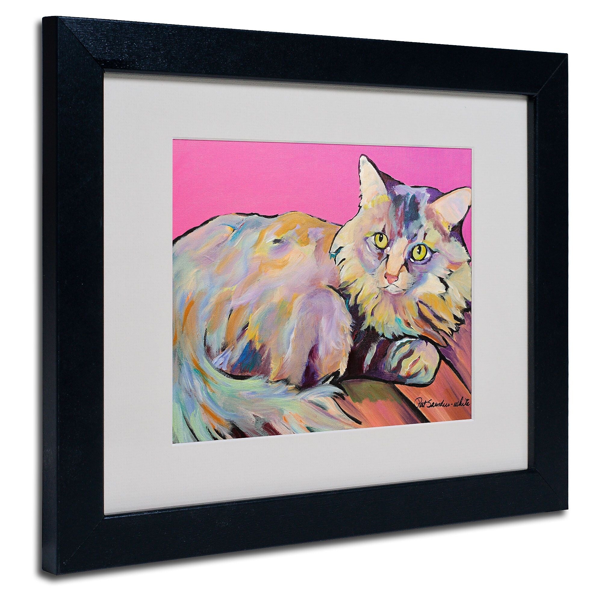 Trademark Fine Art Pat Saunders 'Catatonic' Matted Art Black Frame 11x14 Inches