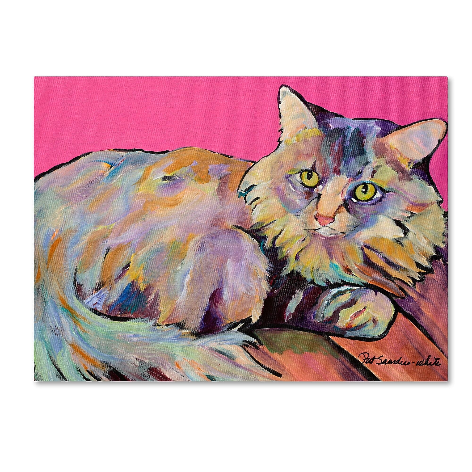 Trademark Fine Art Pat Saunders 'Catatonic' Canvas Art 18x24 Inches