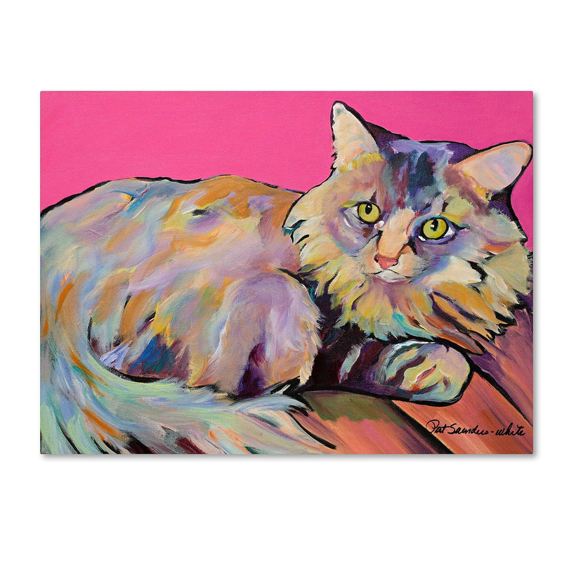 Trademark Fine Art Pat Saunders 'Catatonic' Canvas Art 18x24 Inches