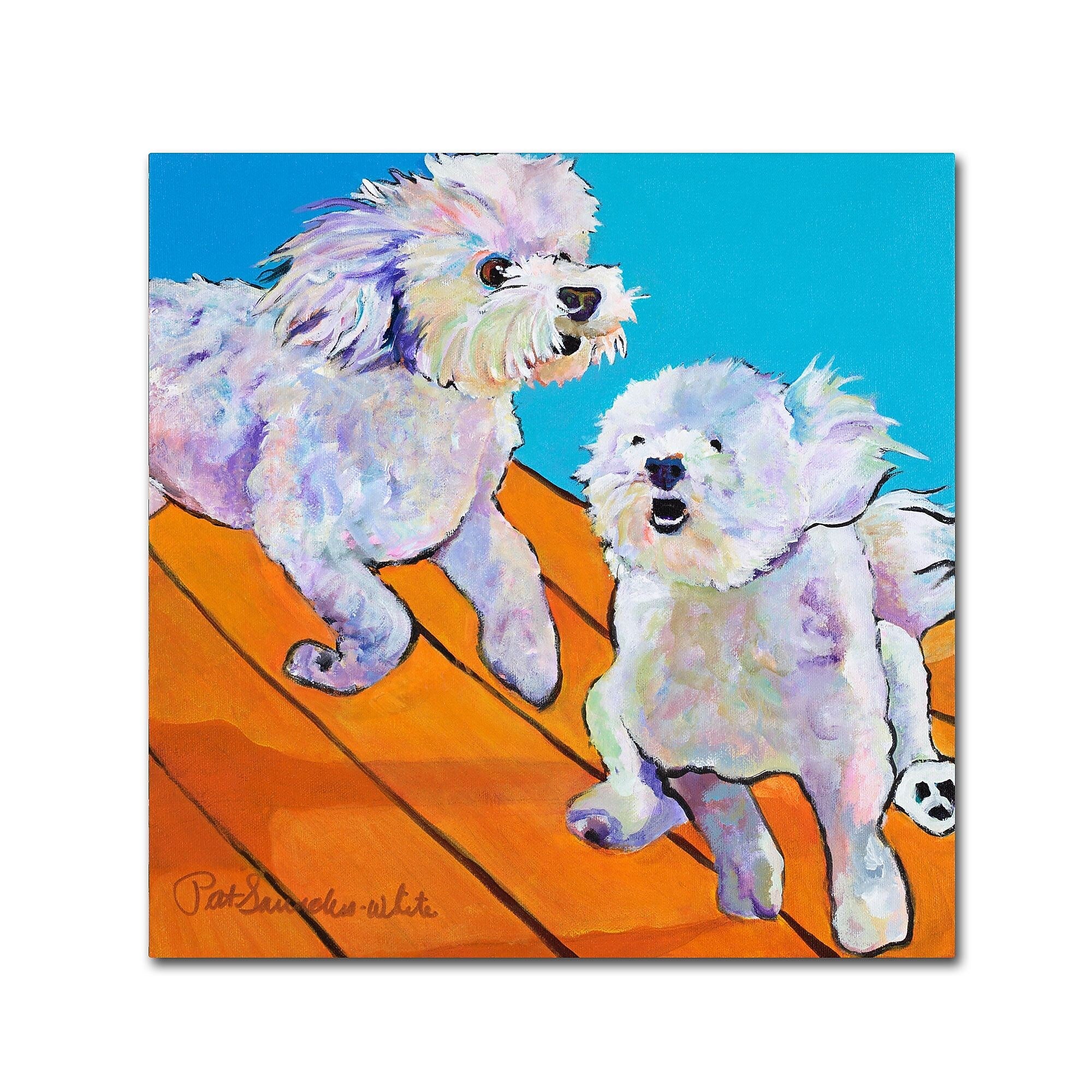 Trademark Fine Art Pat Saunders 'Catch Me' Canvas Art 24x24 Inches