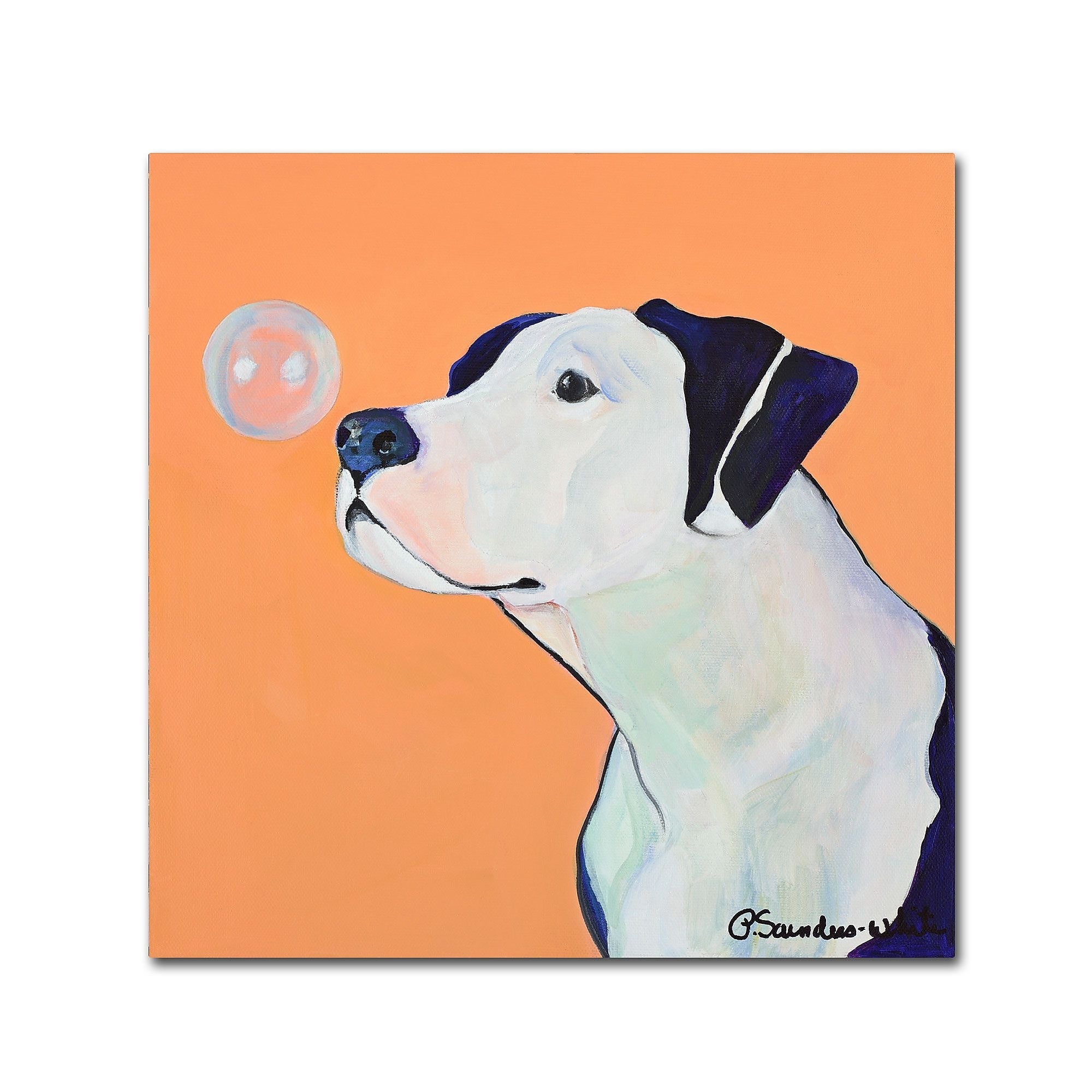 Trademark Fine Art Pat Saunders 'Fascination' Canvas Art 14x14 Inches