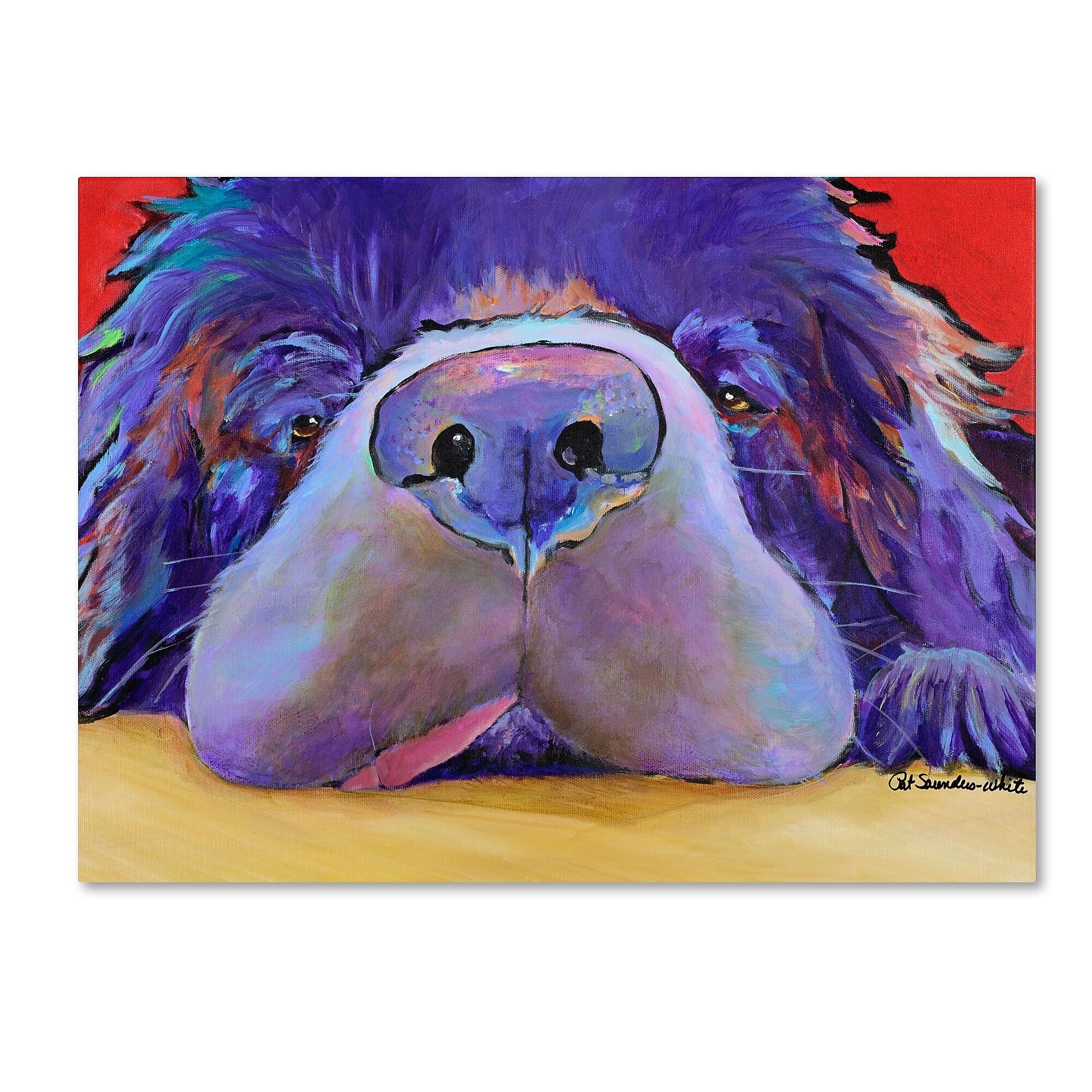 Trademark Fine Art Pat Saunders 'Graysea' Canvas Art 35x47 Inches