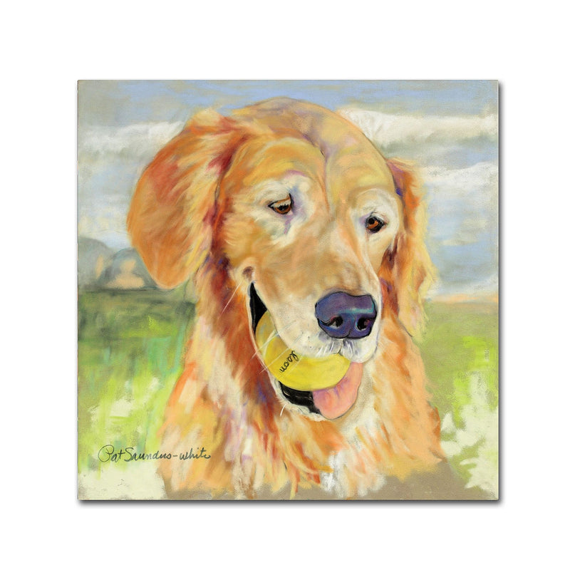 Trademark Fine Art Pat Saunders 'Gus' Canvas Art 35x35 Inches
