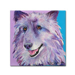 Trademark Fine Art Pat Saunders 'Puppy Dog' Canvas Art 35x35 Inches