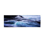 Trademark Fine Art Philippe Sainte-Laudy 'Allegro' Canvas Art 6x19 Inches