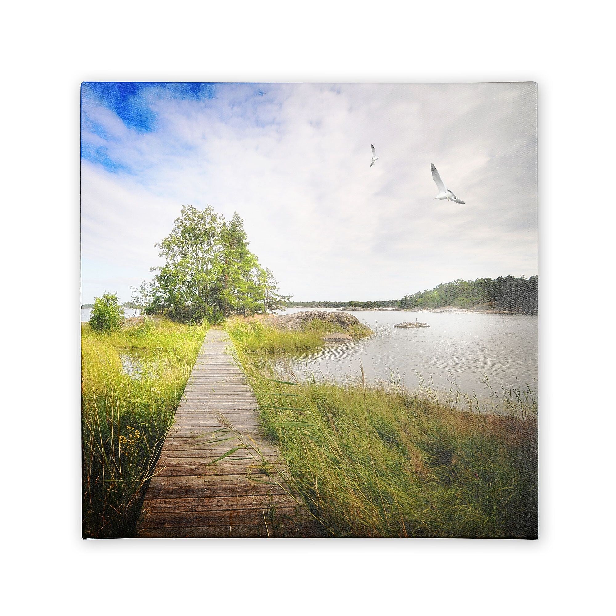 Trademark Fine Art Philippe Sainte-Laudy 'Disorganized' Canvas Art 14x14 Inches