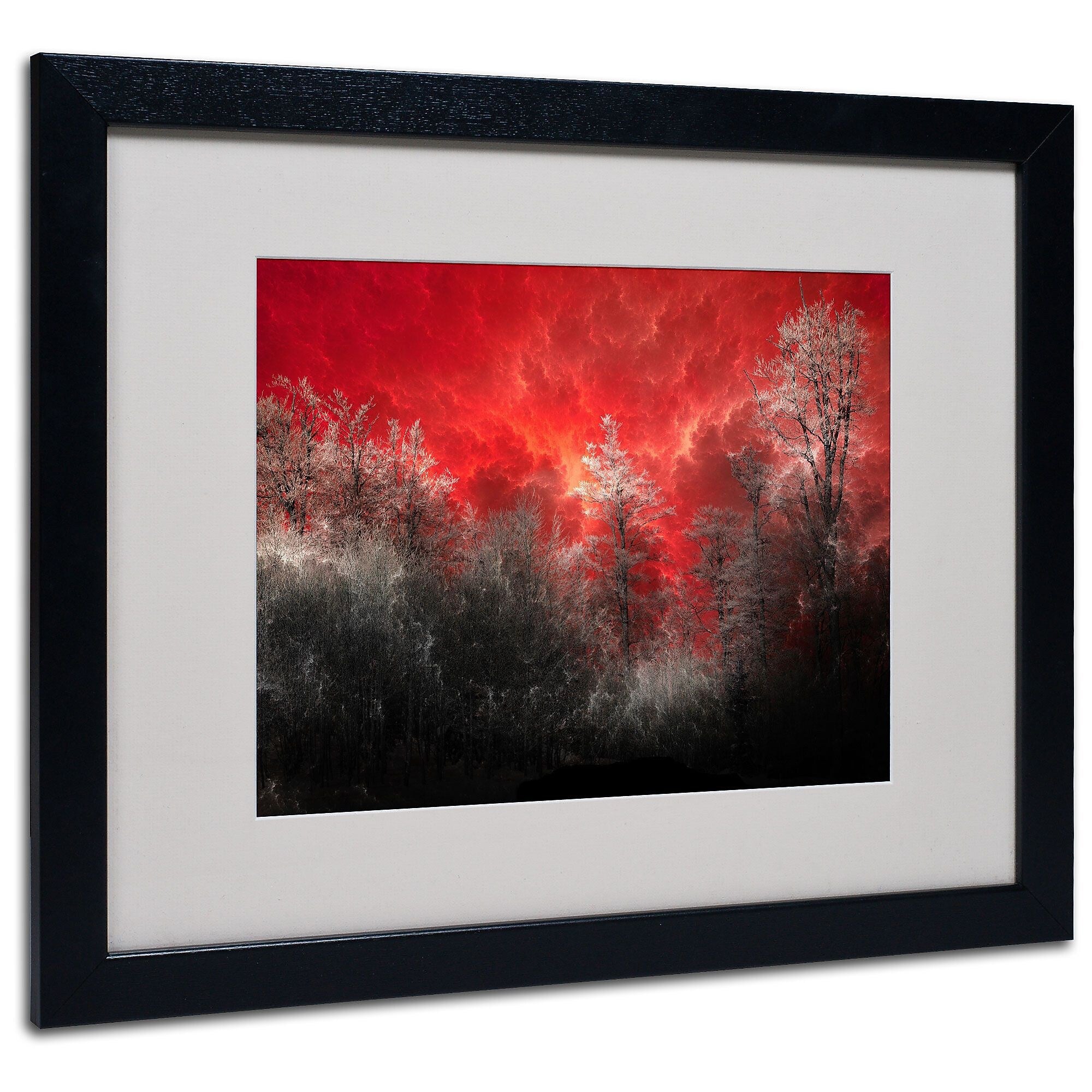 Trademark Fine Art Philippe Sainte-Laudy 'Hot and Cold' Matted Art Black Frame 16x20 Inches