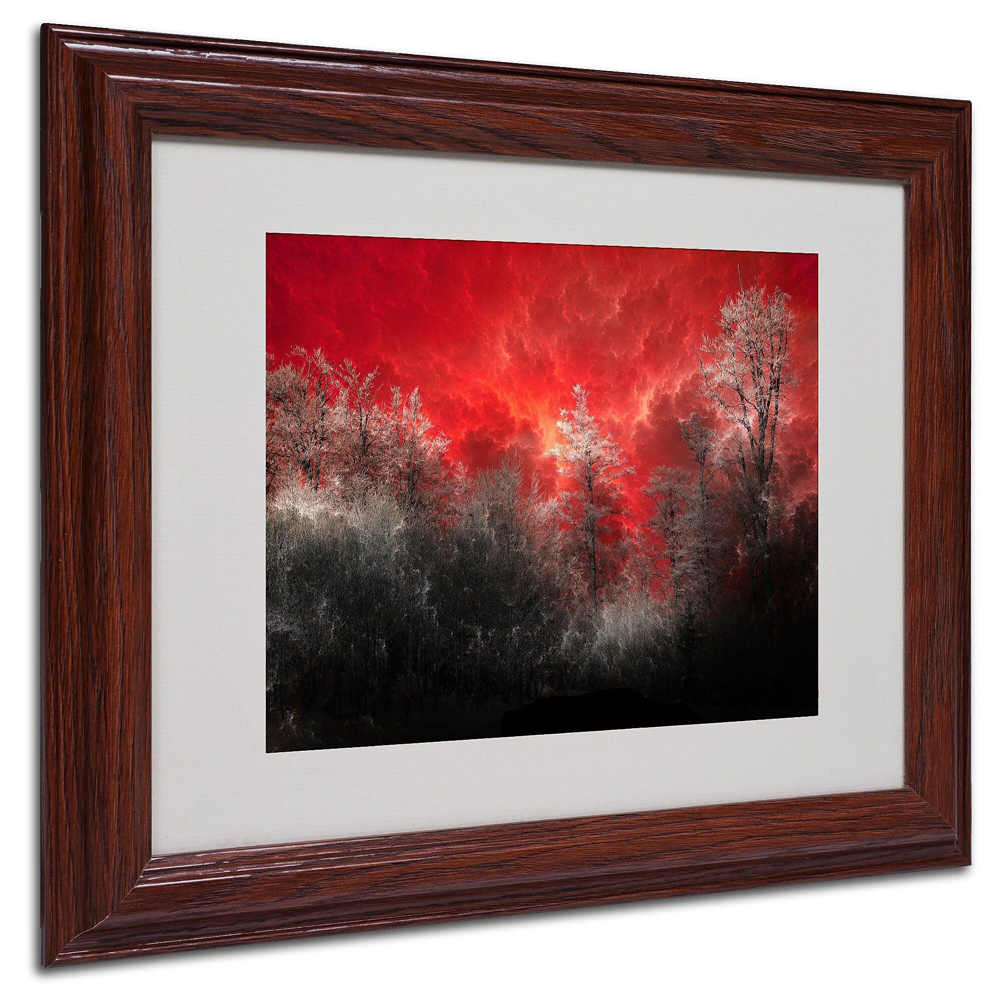 Philippe Sainte-Laudy 'Hot and Cold' Matted Framed Art - 11x14 Inches - Wood Frame