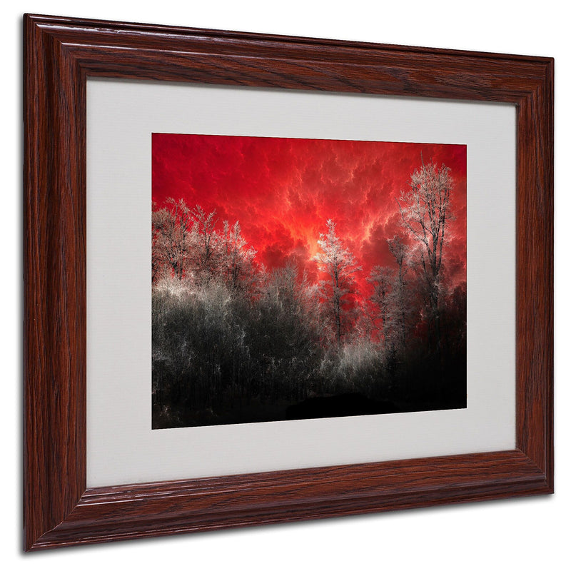 Philippe Sainte-Laudy 'Hot and Cold' Matted Framed Art - 11x14 Inches - Wood Frame