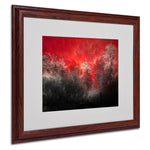 Philippe Sainte-Laudy 'Hot and Cold' Matted Framed Art - 16x20 Inches - Wood Frame