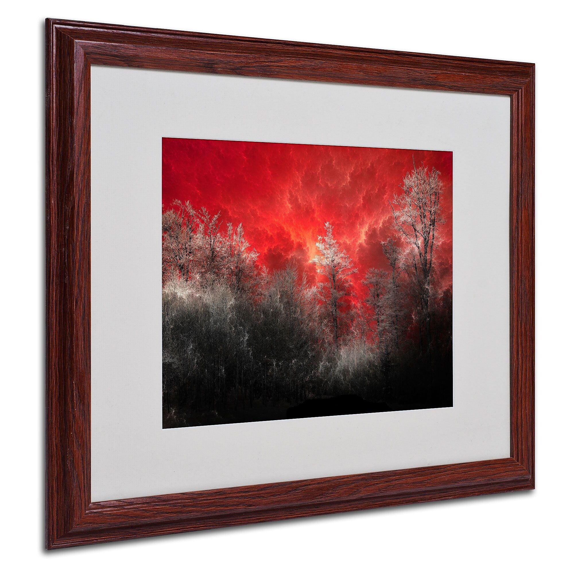 Philippe Sainte-Laudy 'Hot and Cold' Matted Framed Art - 16x20 Inches - Wood Frame