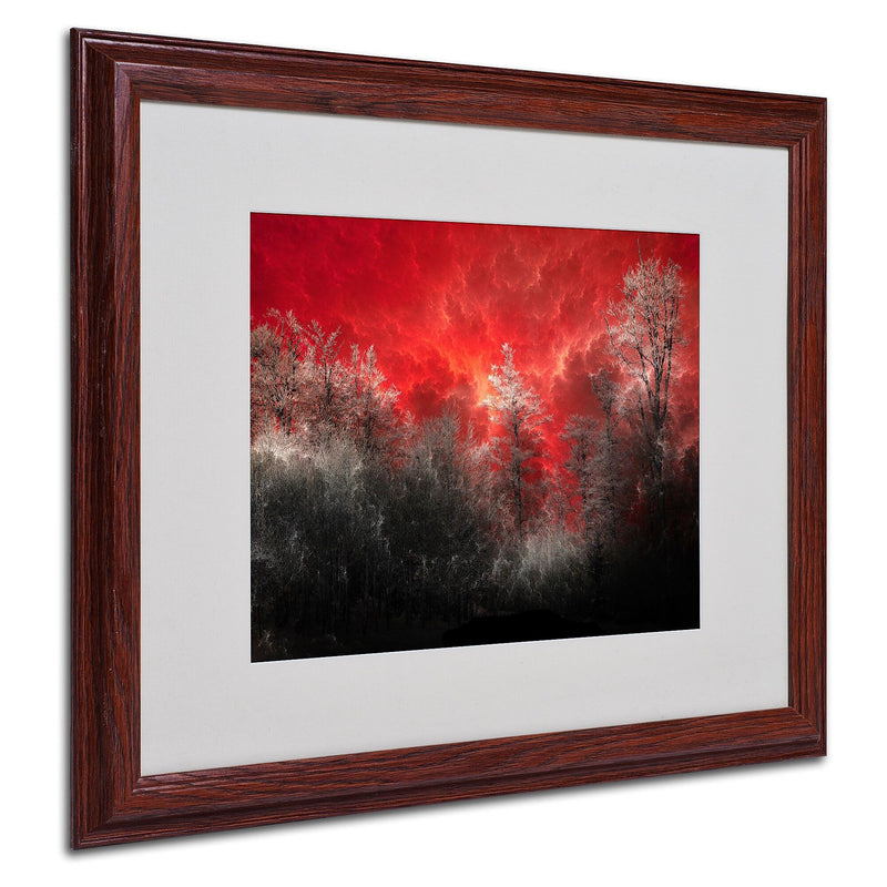 Philippe Sainte-Laudy 'Hot and Cold' Matted Framed Art - 16x20 Inches - Wood Frame