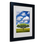 Trademark Fine Art Philippe Sainte-Laudy 'Improbable Open Space' Matted Black Frame 11x14 Inches