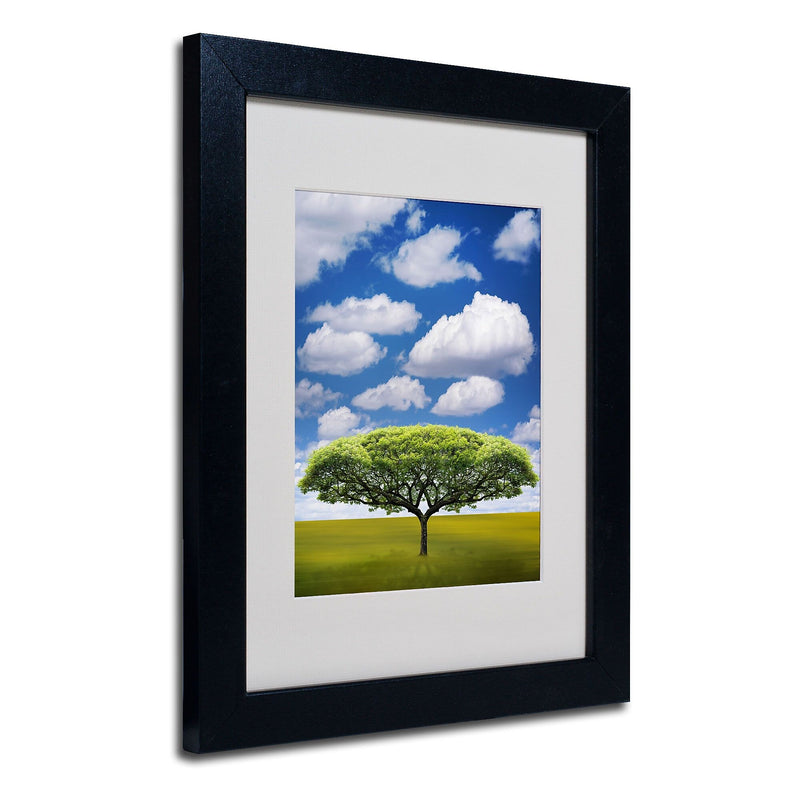 Trademark Fine Art Philippe Sainte-Laudy 'Improbable Open Space' Matted Black Frame 11x14 Inches