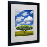 Trademark Fine Art Philippe Sainte-Laudy 'Improbable Open Space' Matted Black Frame 16x20 Inches