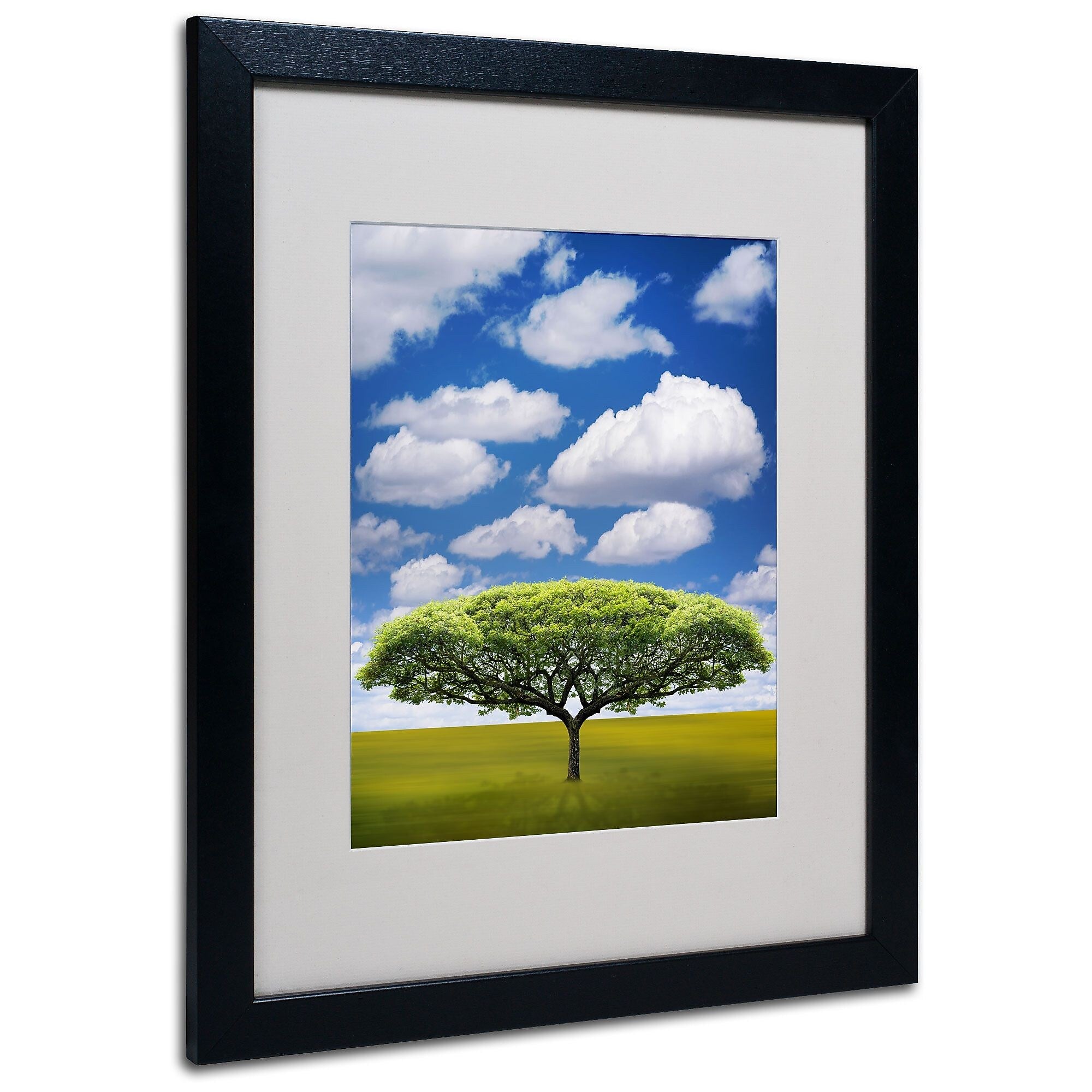 Trademark Fine Art Philippe Sainte-Laudy 'Improbable Open Space' Matted Black Frame 16x20 Inches