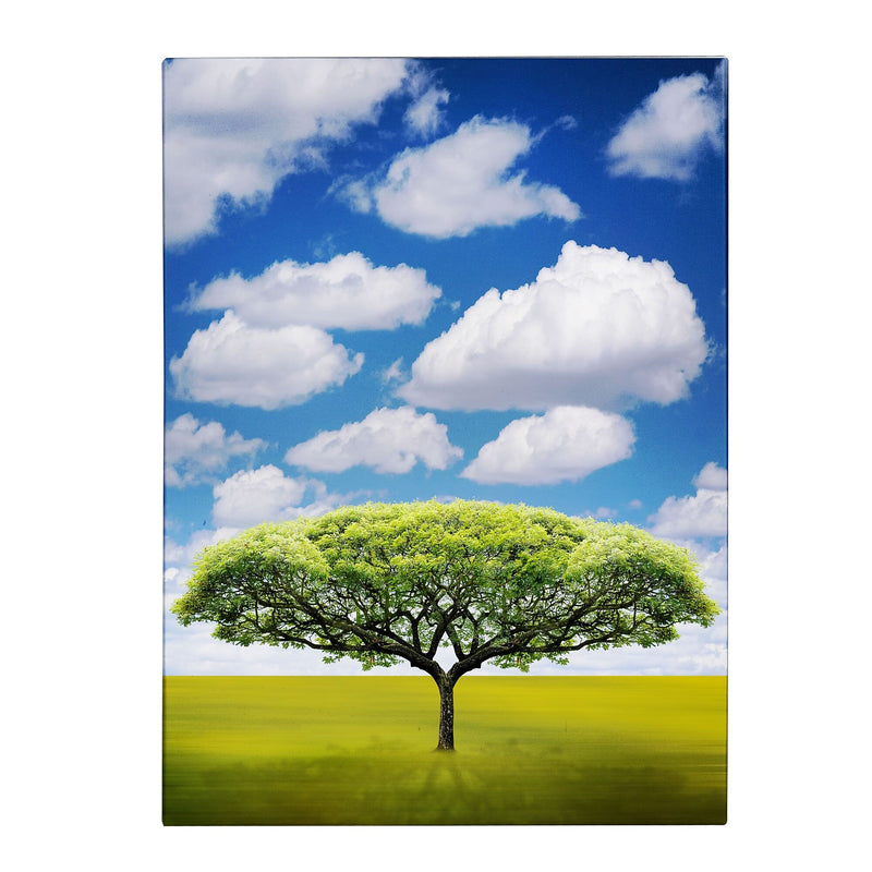 Trademark Fine Art Philippe Sainte-Laudy 'Improbable Open Space' Canvas Art 30x47 Inches
