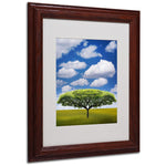 Philippe Sainte-Laudy 'Improbable Open Space' Matted Framed - 11x14 Inches - Wood Frame