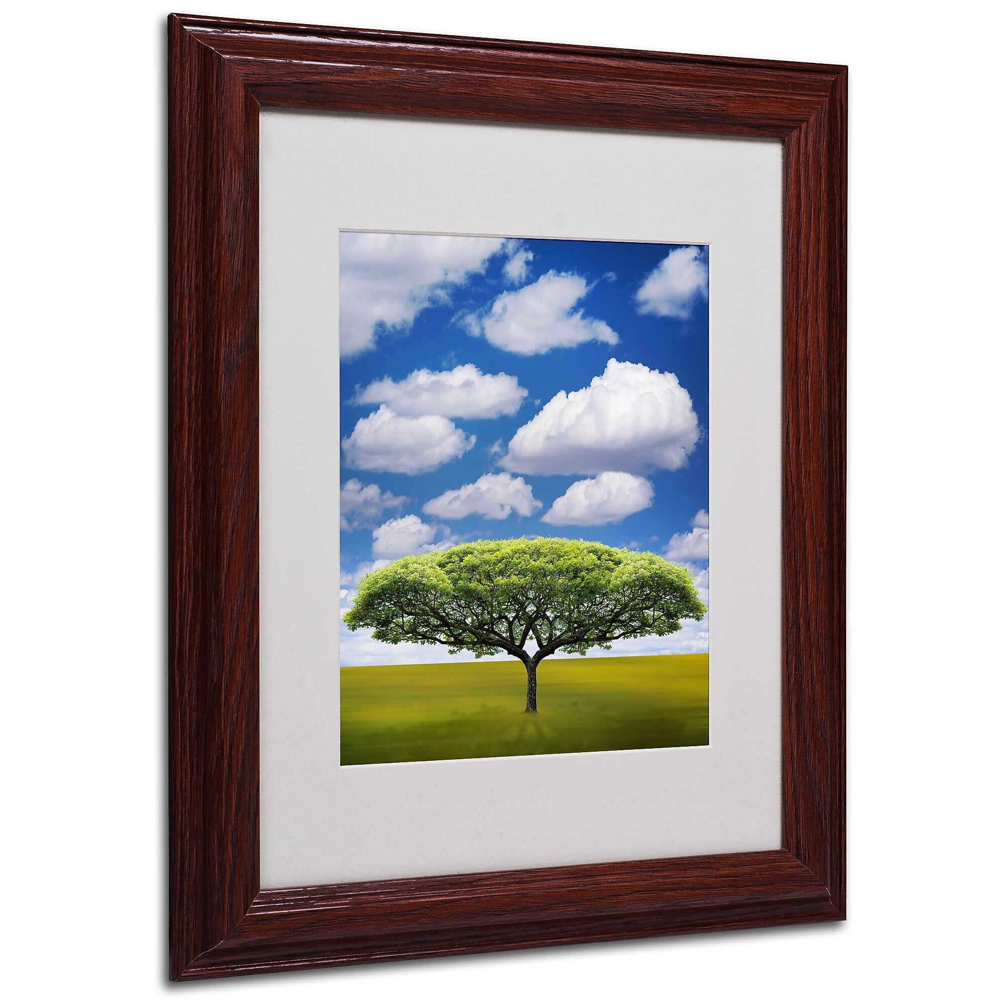 Philippe Sainte-Laudy 'Improbable Open Space' Matted Framed - 11x14 Inches - Wood Frame