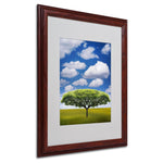 Philippe Sainte-Laudy 'Improbable Open Space' Matted Framed - 16x20 Inches - Wood Frame