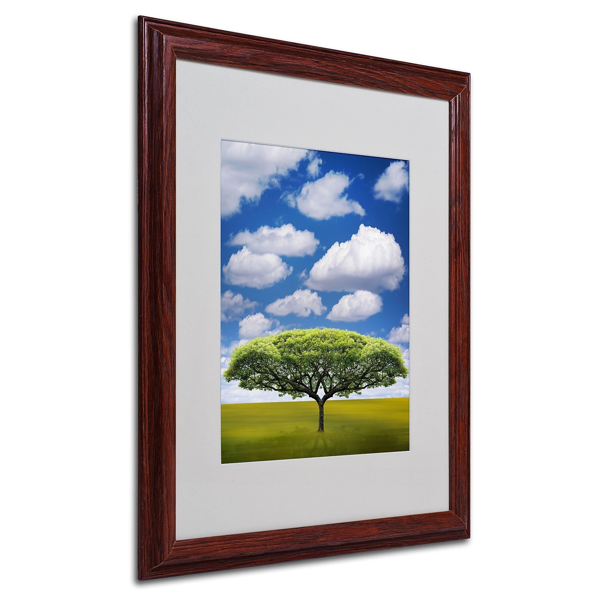 Philippe Sainte-Laudy 'Improbable Open Space' Matted Framed - 16x20 Inches - Wood Frame