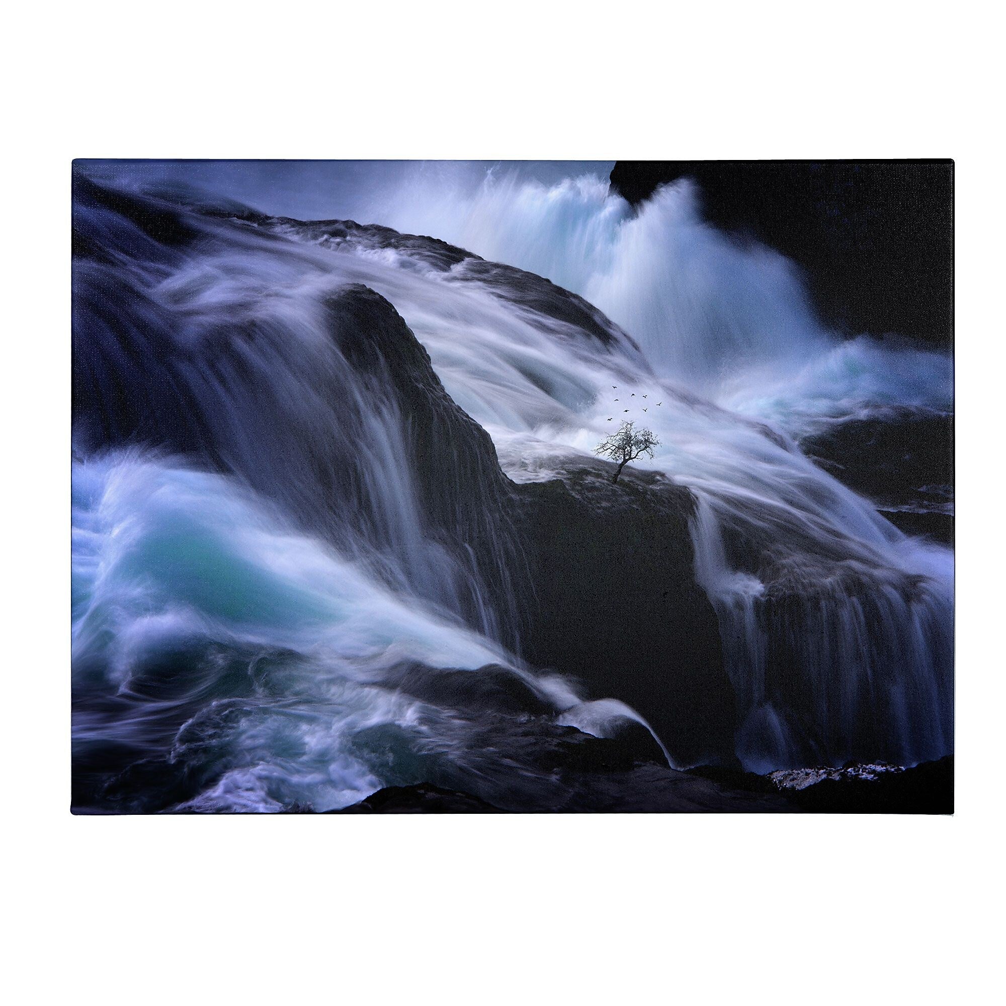 Trademark Fine Art Philippe Sainte-Laudy 'Liquide Illusion' Canvas Art 16x24 Inches