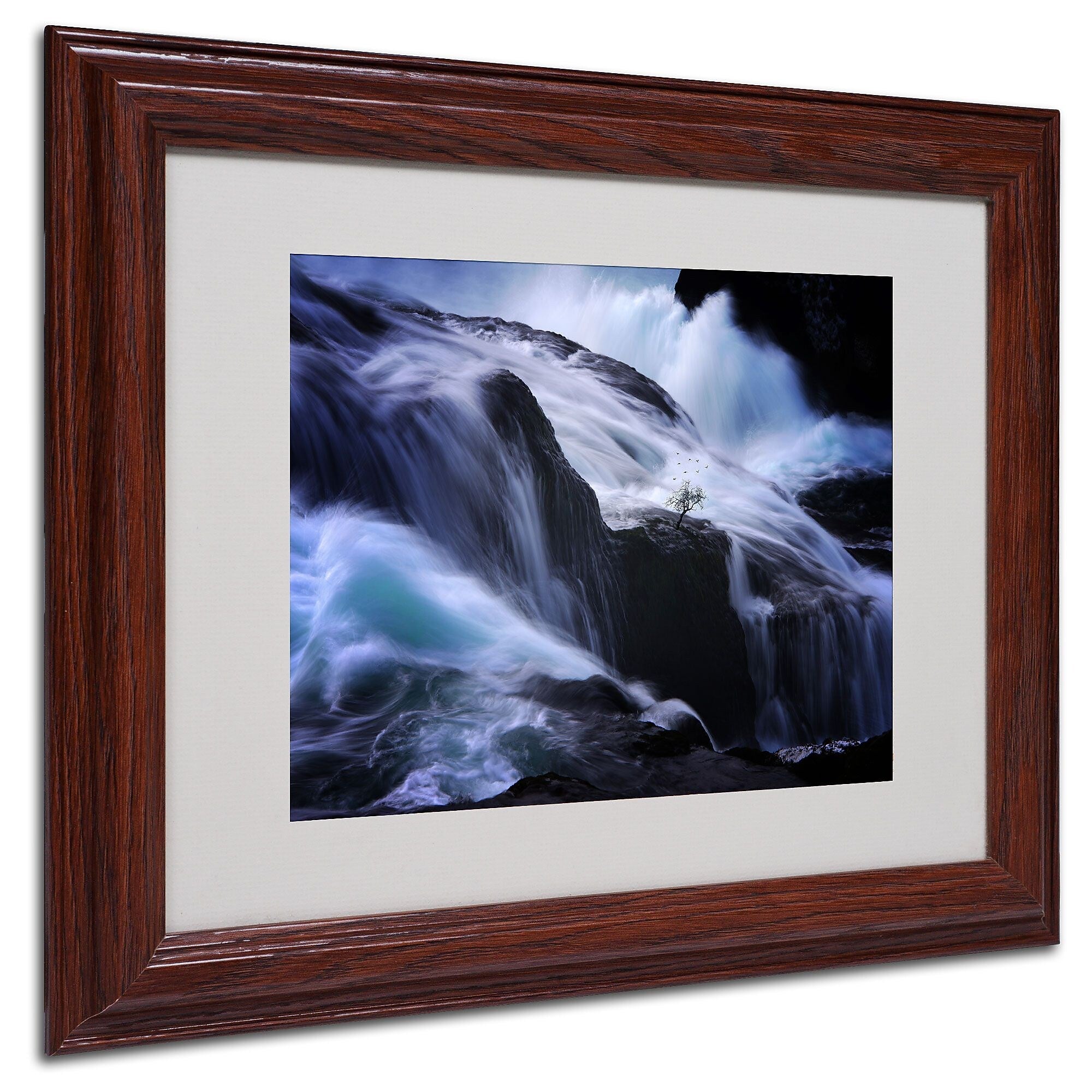 Philippe Sainte-Laudy 'Liquide Illusion' Matted Framed Art - 11x14 Inches - Wood Frame