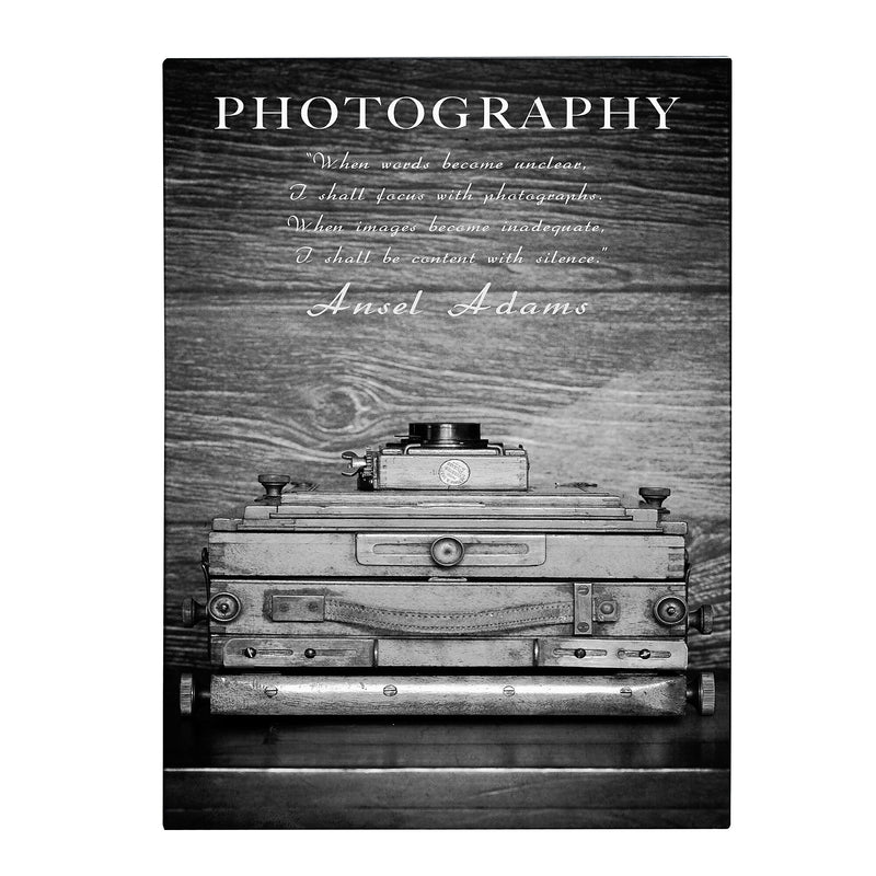 Trademark Fine Art Philippe Sainte-Laudy 'Photography B&W' Canvas Art 30x47 Inches