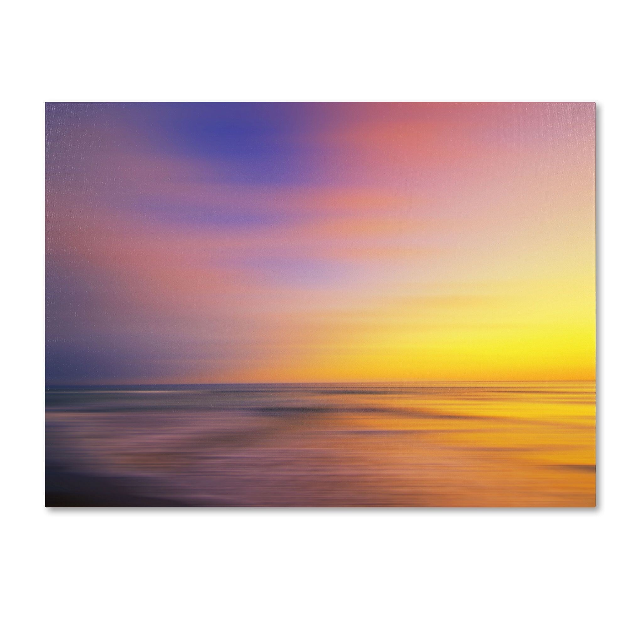 Trademark Fine Art Philippe Sainte-Laudy 'Metallic Sunset' Canvas Art 16x24 Inches
