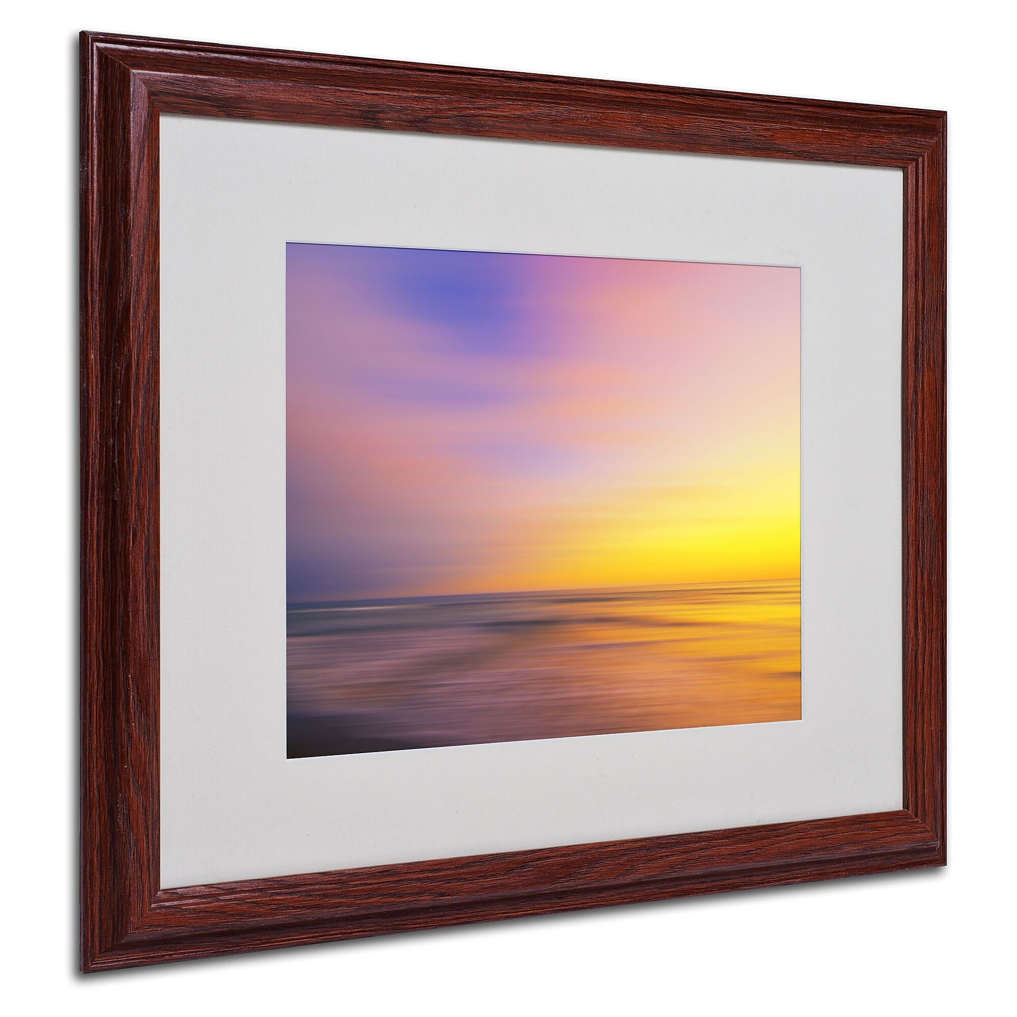 Philippe Sainte-Laudy 'Metallic Sunset' Matted Framed Art - 16x20 Inches - Wood Frame