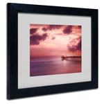 Trademark Fine Art Philippe Sainte-Laudy 'Rose Bonbon' Matted Art Black Frame 11x14 Inches