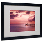 Trademark Fine Art Philippe Sainte-Laudy 'Rose Bonbon' Matted Art Black Frame 16x20 Inches