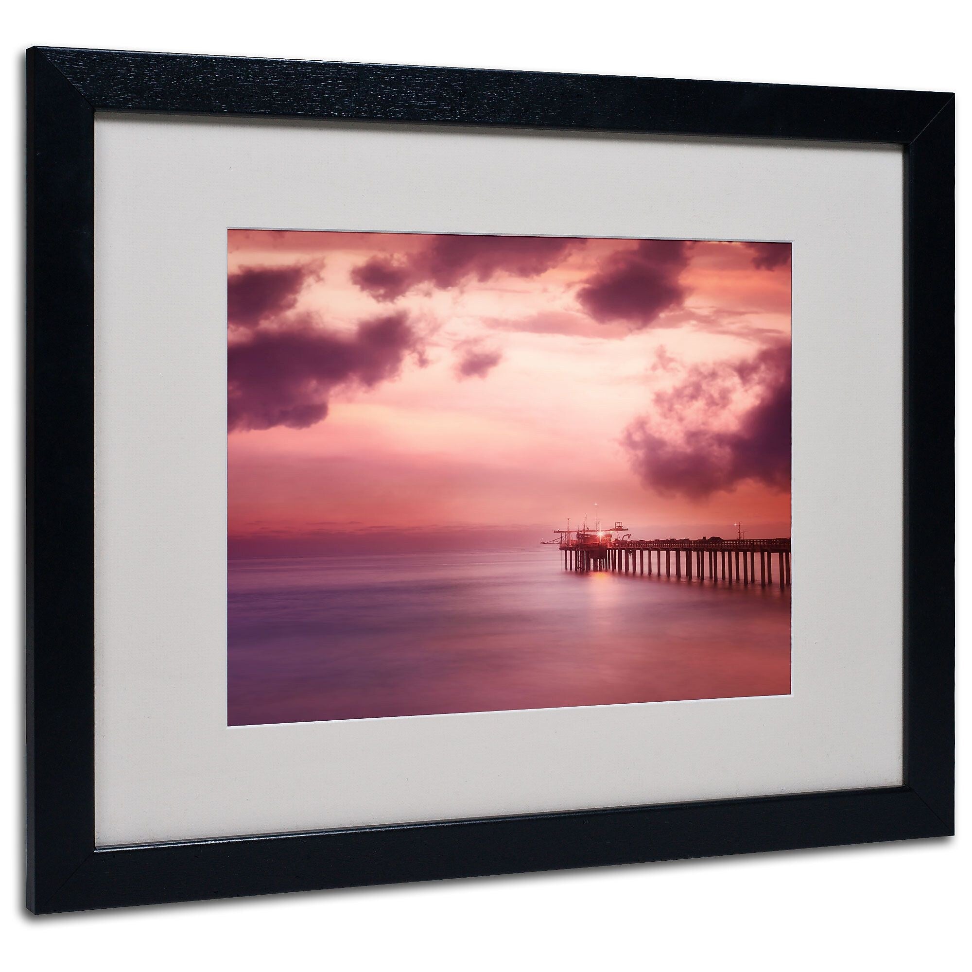 Trademark Fine Art Philippe Sainte-Laudy 'Rose Bonbon' Matted Art Black Frame 16x20 Inches