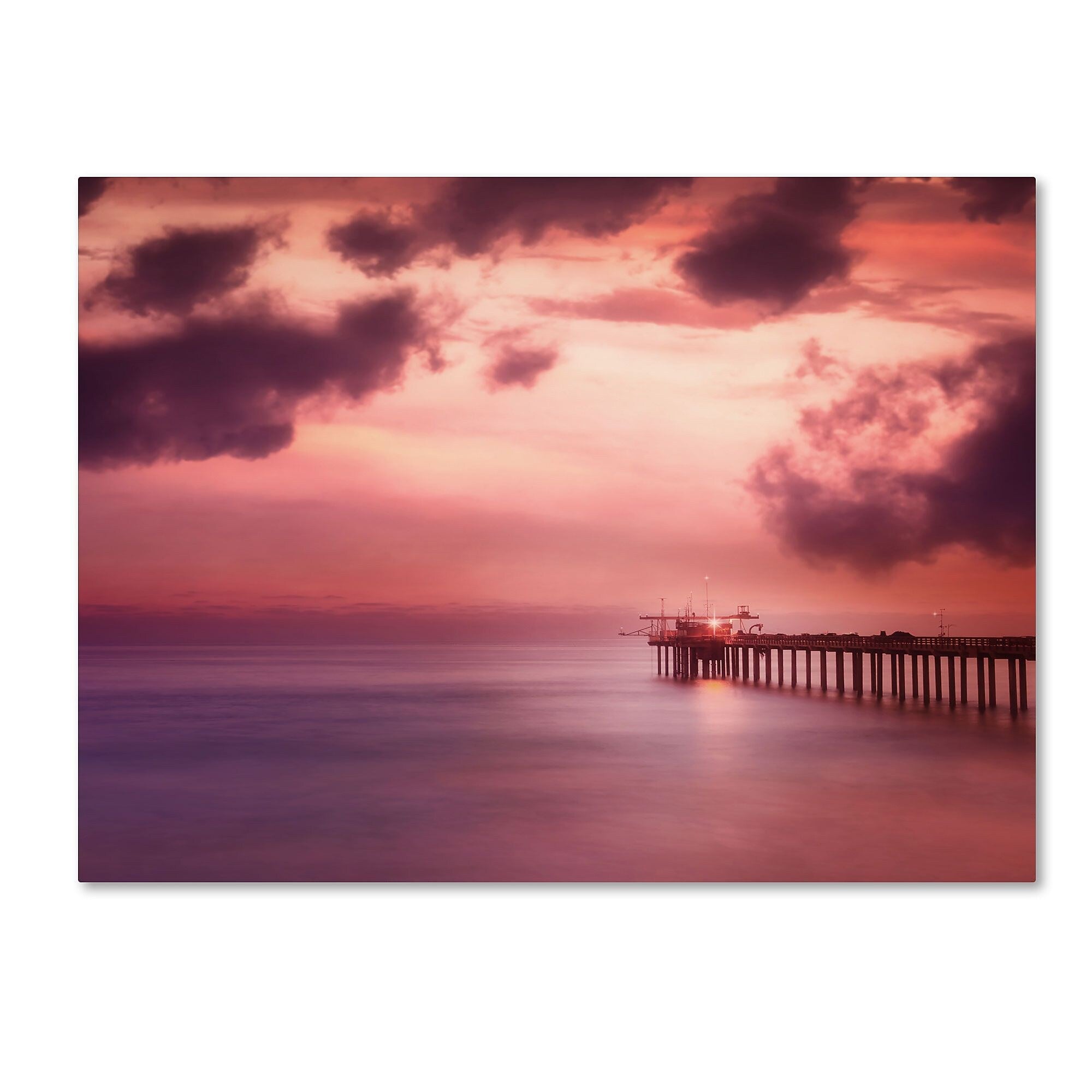 Trademark Fine Art Philippe Sainte-Laudy 'Rose Bonbon' Canvas Art 14x19 Inches