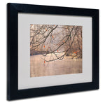 Trademark Fine Art Philippe Sainte-Laudy 'Skylight' Matted Art Black Frame 11x14 Inches