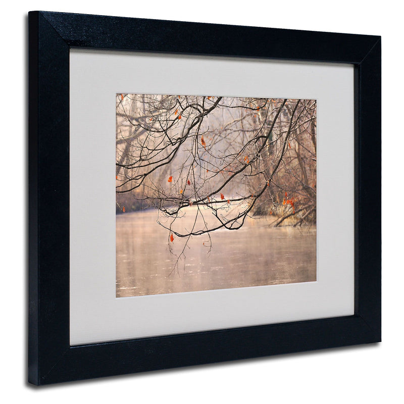 Trademark Fine Art Philippe Sainte-Laudy 'Skylight' Matted Art Black Frame 11x14 Inches