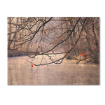 Trademark Fine Art Philippe Sainte-Laudy 'Skylight' Canvas Art 16x24 Inches