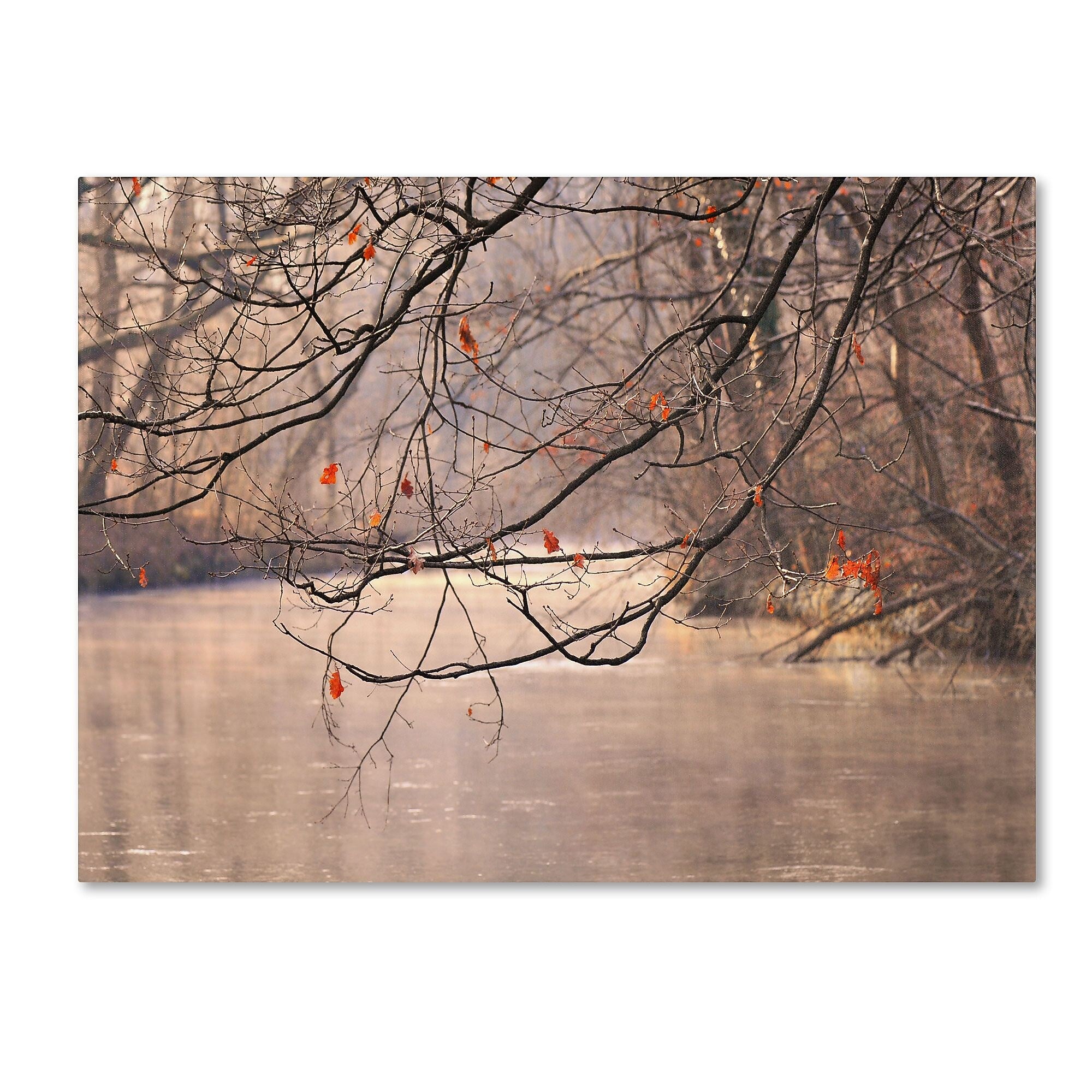 Trademark Fine Art Philippe Sainte-Laudy 'Skylight' Canvas Art 16x24 Inches