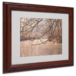 Philippe Sainte-Laudy 'Skylight' Matted Framed Art - 11x14 Inches - Wood Frame