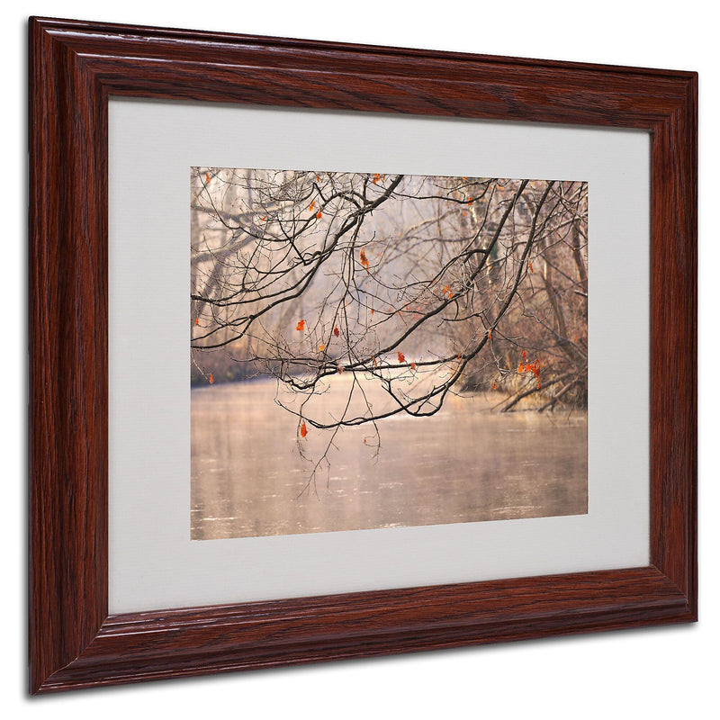 Philippe Sainte-Laudy 'Skylight' Matted Framed Art - 11x14 Inches - Wood Frame
