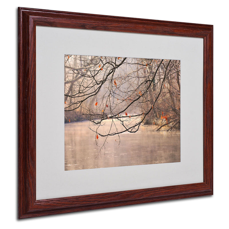 Philippe Sainte-Laudy 'Skylight' Matted Framed Art - 16x20 Inches - Wood Frame
