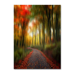 Trademark Fine Art Philippe Sainte-Laudy 'The Lost Path' Canvas Art 14x19 Inches