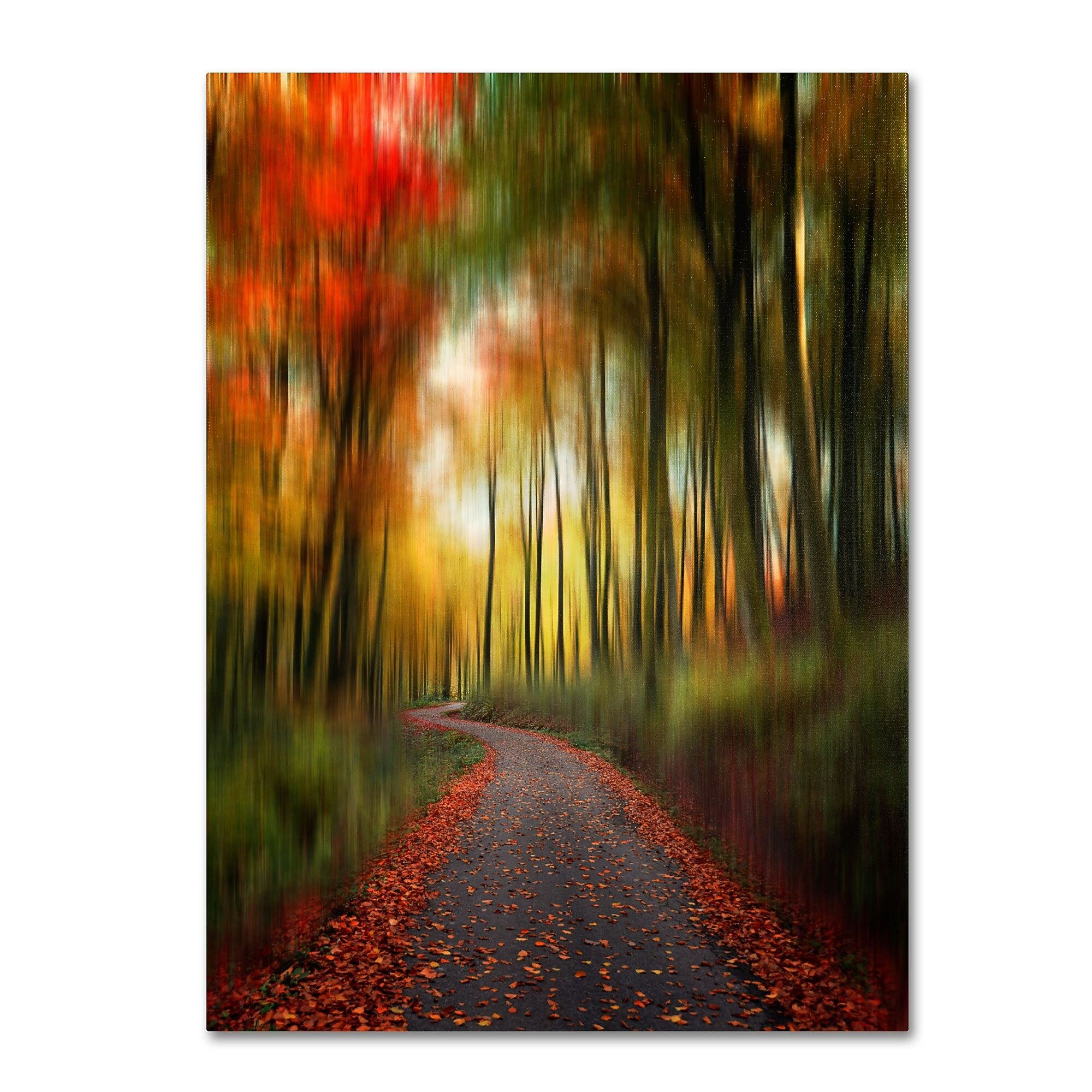 Trademark Fine Art Philippe Sainte-Laudy 'The Lost Path' Canvas Art 14x19 Inches