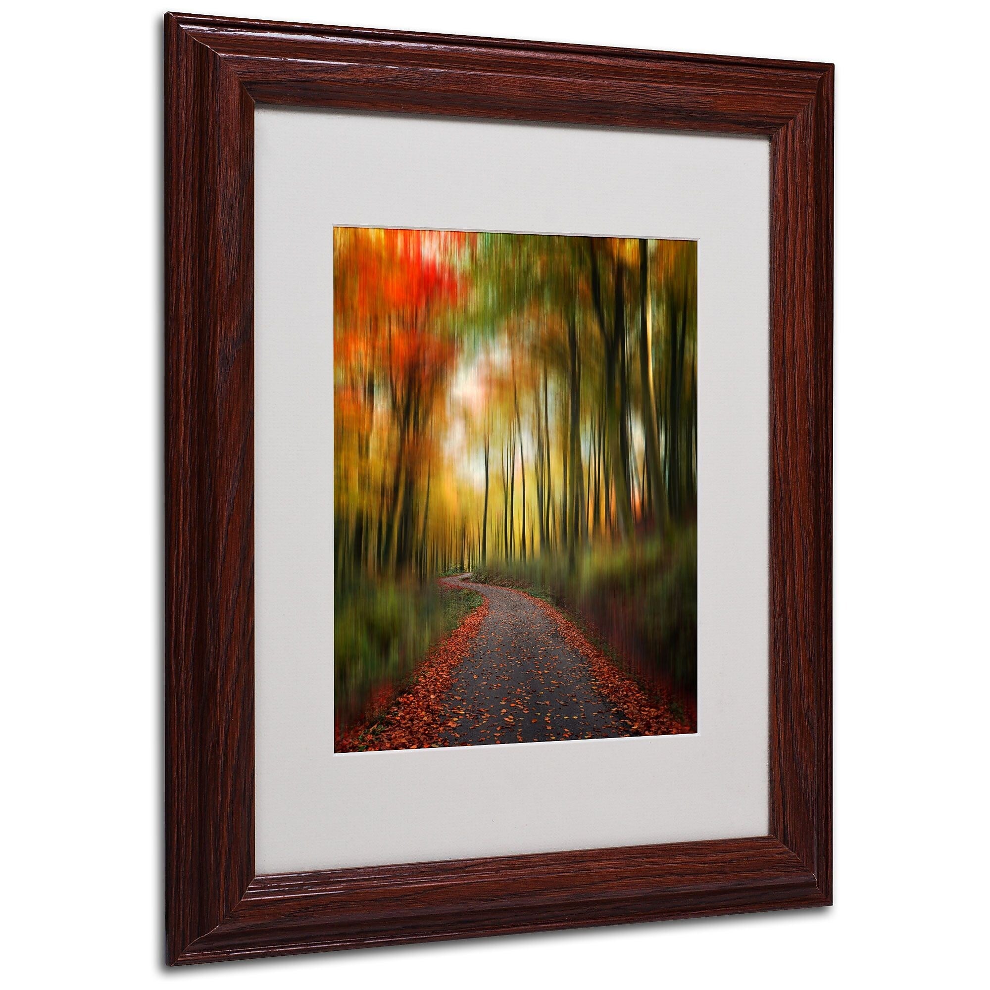 Philippe Sainte-Laudy 'The Lost Path' Matted Framed Art - 11x14 Inches - Wood Frame